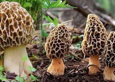 96E52500-810B-4DD8-9197-2BCDB2821F0E