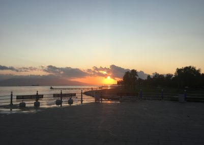 288D1769-224E-49EF-891E-2DD1ACD1D126